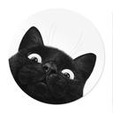 Poster Rolig svart katt - Korenkova - Rund