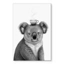 Tableaux Koala avec café - Korenkova - Alu-Dibond
