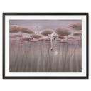Poster lotusbloemen met zwaan in water in donkerroze - Ms Tiff