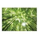 Textielposter Bomen in het Bos