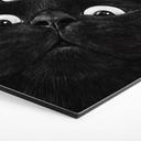 Tableaux Hexagonal Chat noir amusant - Korenkova - Alu-Dibond