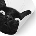 Wallsticker Rolig svart katt - Korenkova - Rund