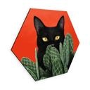 Tableaux Chat noir caché dans les cactus Hexagone - Korenkova