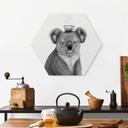 Hexagon Billede Koala med kaffe - Korenkova - Alu-Dibond