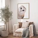 Poster Nyfiken tornuggla - Korenkova