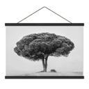 Textielposter Boom in zwart-wit - Martin