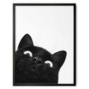 Poster Rolig svart katt - Korenkova