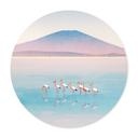 Poster Pastellfärgad sjö med flamingos - Rivers - Rund