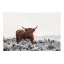 Textielposter Highlander - van den Helm
