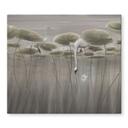Afdekplaat lotusbloemen met zwaan in water in grijs - Ms Tiff
