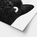 Poster Rolig svart katt - Korenkova