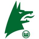 Wandtattoo VfL Wolfsburg Wolfskopf mit Wappen - 23x30 cm