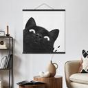 Textil poster Rolig svart katt - Korenkova - Kvadratisk