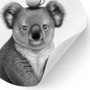 Sticker mural Rond Koala avec café - Korenkova