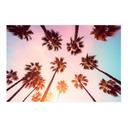 Textielposter California Dreaming met uitzicht op palmbomen - Hugonnard