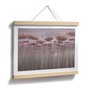 Poster lotusbloemen met zwaan in water in donkerroze - Ms Tiff