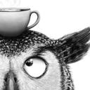 Fototapet Rolig uggla med kaffe - Korenkova
