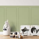 Wandpanelen Wandbekleding pistache met kader
