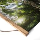 Textielposter Waterval in het bos - Foto