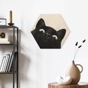 Tableau sur bois Hexagonal Chat noir amusant - Korenkova