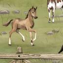 Fotomural Habitación Infantil Cercado de Caballos en el Parque Natural - Oliver Robins