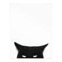 Poster Regard d'une chatte noire - Korenkova