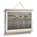 Poster lotusbloemen met zwaan in water in grijs - Ms Tiff