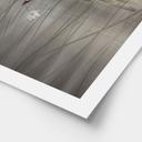 Poster lotusbloemen met zwaan in water in grijs - Ms Tiff