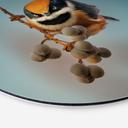 Wandbild Kleiner Vogel am Ast - Jacob Xu - Alu-Dibond Rund - Ø 20 cm