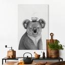 Tableaux Koala avec café - Korenkova - Alu-Dibond