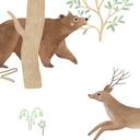 Fotomural Habitación Infantil Alegre Vida en el Bosque con Animales - Oliver Robins