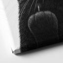 Tableau sur toile Chat noir effronté - Korenkova