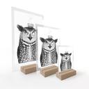 Présentoir de table Hibou amusant avec café - Korenkova