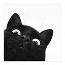 Textil poster Rolig svart katt - Korenkova - Kvadratisk