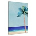 Canvas schilderij Vakantiestrand met palmboom - Rivers