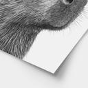 Poster Capybara Matin Café - Korenkova