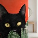 Dörrsticker Svart katt i kaktus-gömställe - Korenkova