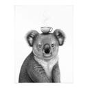 Poster Koala avec café - Korenkova