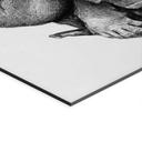 Wanddecoratie Streetstyle aap met sigaret - Koubou - Alu-Dibond