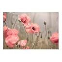 Textielposter Poppy Flower Romance - Delgado