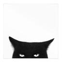 Affiche textile Regard d'une chatte noire - Korenkova - Carré