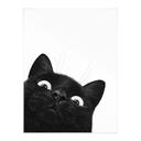 Poster Rolig svart katt - Korenkova