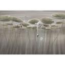 Natuur Fotobehang lotusbloemen met zwaan in het water in grijs - Ms Tiff