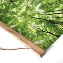 Textielposter Bomen in het Bos