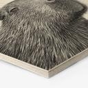 Tableau sur bois Hexagone Capybara Matin Café - Korenkova