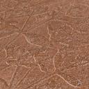 brun beige landhus tapet - fleece tapet stue - blomstret tapet soveværelse gang