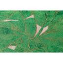 Livingwalls papier peint intissé Metropolitan Stories papier peint Francesca Milan beige;vert;métallisé