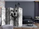 Screen room divider - Dynamisk skud, 3-delt