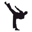 Muursticker Martial Arts 01