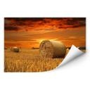 Poster autocollant - W - Bottes de Paille